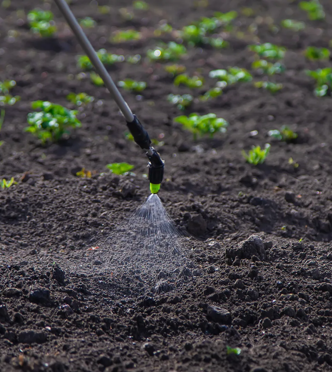 biofertilizer-blog-1