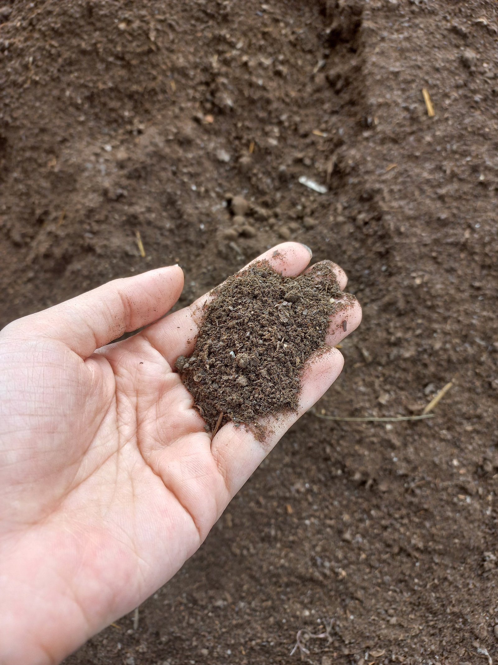 compost-hand-sample