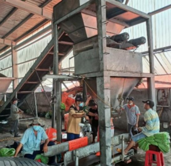 organic-manure-processing