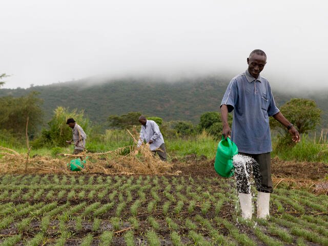 sustainable-agriculture-farming
